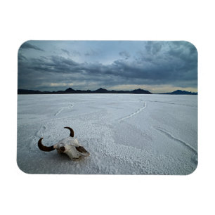 Magnet Flexible Deserts Bonneville Salt Flats Utah