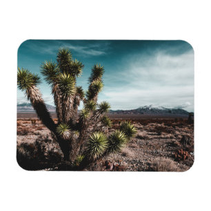 Magnet Flexible Deserts   Cholla