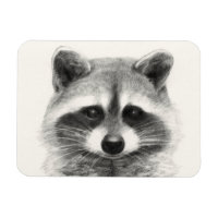 Dessin au crayon Raccoon