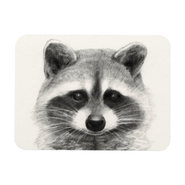 Magnet Flexible Dessin au crayon Raccoon (Horizontal)