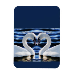 Magnet Flexible Deux cygnes