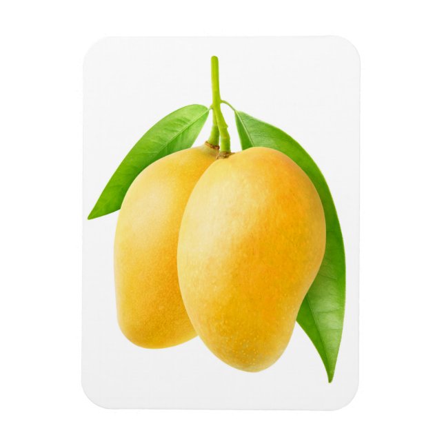 Magnet Flexible Deux fruits de mangue jaune (Vertical)