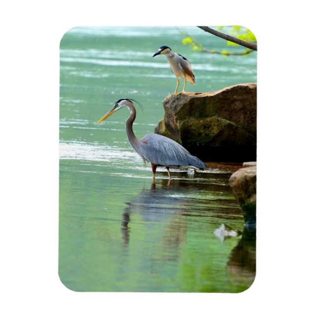Magnet Flexible Deux hérons au bord de la rivière (Vertical)
