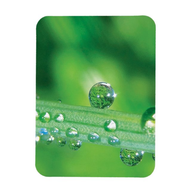 Magnet Flexible Dew Drop on Green Grass Meditation (Vertical)