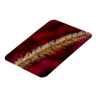 Magnet Flexible Dew du matin