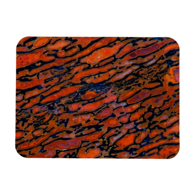 Magnet Flexible Dinosaure bone (Horizontal)