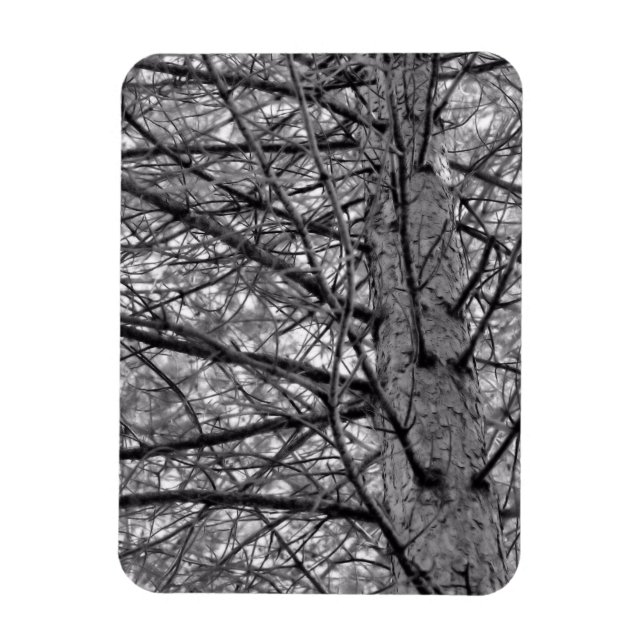 Magnet Flexible Direction des branches d'arbre à pin en noir et bl (Vertical)