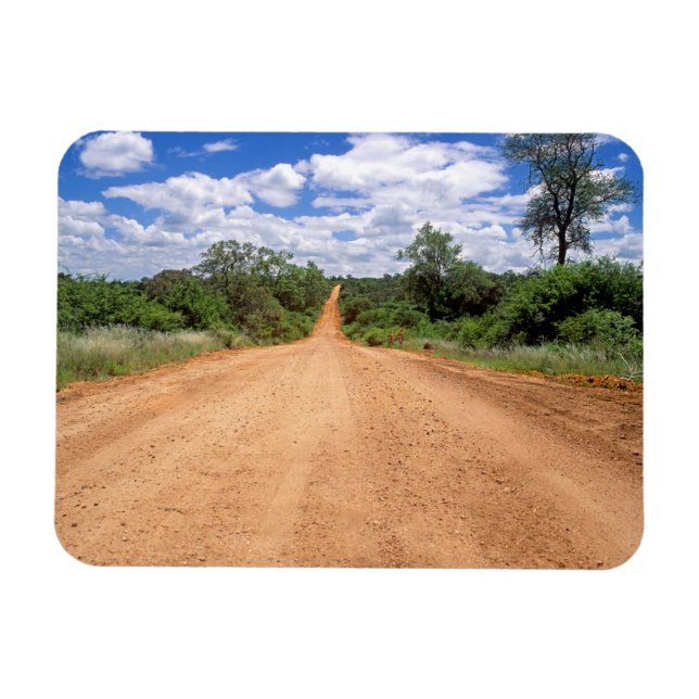 Magnet Flexible Dirt Road, Parc national de Kruger, Mpumalanga (Horizontal)