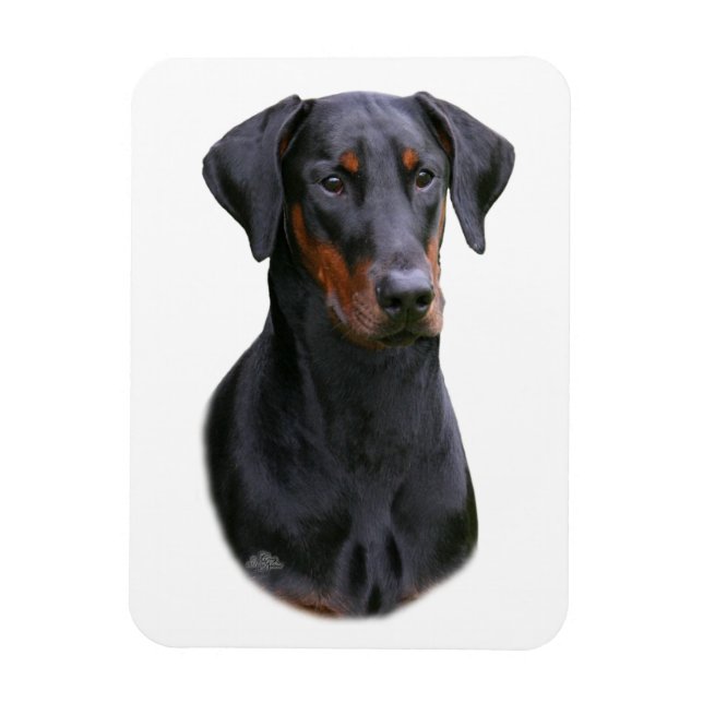 Magnet Flexible Doberman Pinscher - Aimant naturel noir (Vertical)