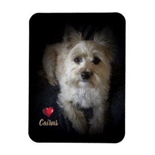 Magnet Flexible Dog Cairn Terrier "Amoureux des chiens" Aimant fle