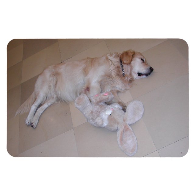 Magnet Flexible Dormant Golden Retriever (Horizontal)