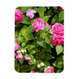 Magnet Flexible Double aimant flexible d'Impatiens