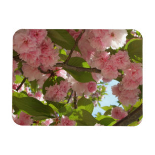 Magnet Flexible Double floraison cerisier III printemps fleuri