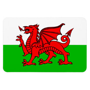 Magnet Flexible Drapeau du dragon rouge gallois du Pays de Galles