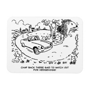 Magnet Flexible Driving Sports Car in Countryside with Hedgehog