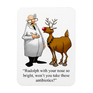 Magnet Flexible Drôle Noël Humour magnétique cadeau