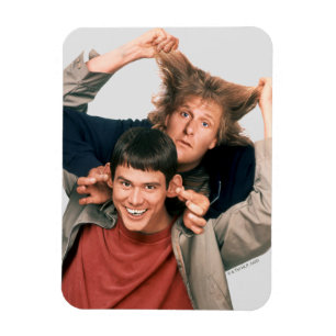 Magnet Flexible Dumb et Dumb   Lloyd et Harry
