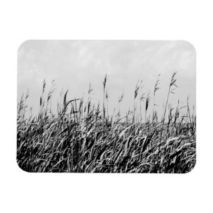 Magnet Flexible Dune Triptych III
