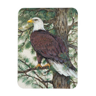 Magnet Flexible Eagle chauve sur la branche