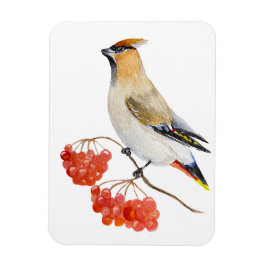 Magnet Flexible Écirage d'oiseaux de la forêt d'aquarelle