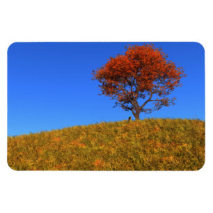 Magnet Flexible Effacer l'aimant flexible du jour d'automne