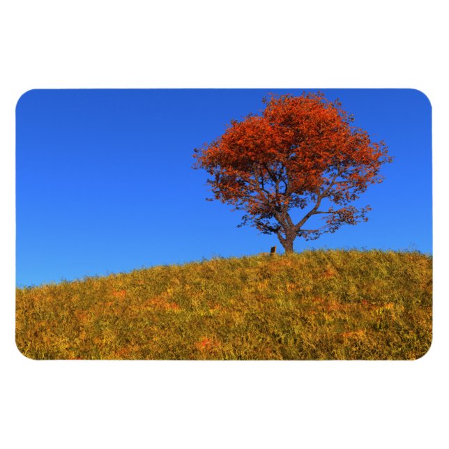 Magnet Flexible Effacer l'aimant flexible du jour d'automne (Horizontal)