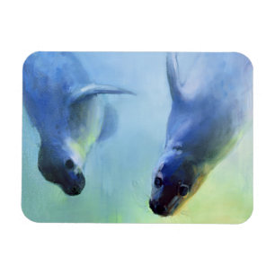 Magnet Flexible Également fascination de 2003