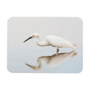 Magnet Flexible Egret sur étang calme