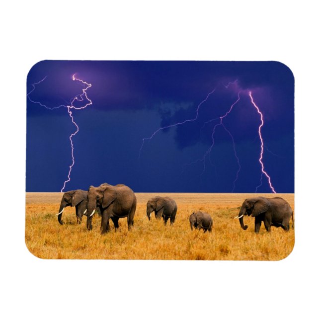 Magnet Flexible Eléphants (Horizontal)