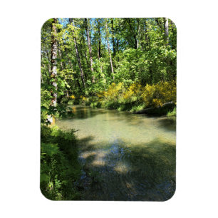 Magnet Flexible Elijah Bristow State Park, Dexter, Oregon