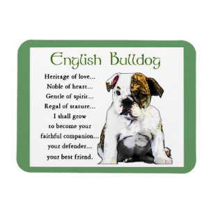 Magnet Flexible English Bulldog Puppy Heritage of Love