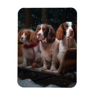 Magnet Flexible Épagneul Breton Traîneau enneigé Décor de Noël
