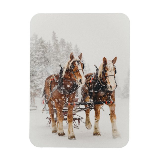 Magnet Flexible Équipe de Belgique de cheval Wintery Christmas Sce (Vertical)
