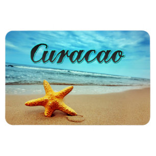 Magnet Flexible Estarfish de Curacao