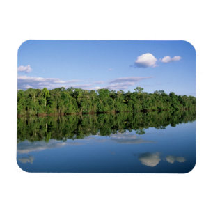 Magnet Flexible État du Mato Grosso, Amazonie, Brésil. Forêt