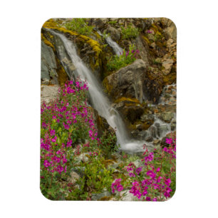 Magnet Flexible États-Unis, Alaska, Parc national de Glacier Bay. 