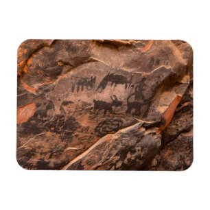 Magnet Flexible États-Unis, Arizona, Coconino National Forest, Pa