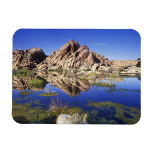 Magnet Flexible États-Unis, Californie, Joshua Tree National Park