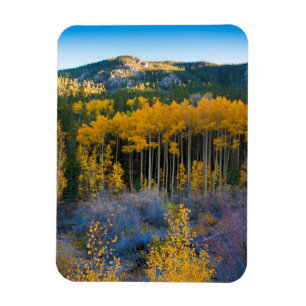 Magnet Flexible États-Unis, Colorado. Jaunes brillants peupliers f