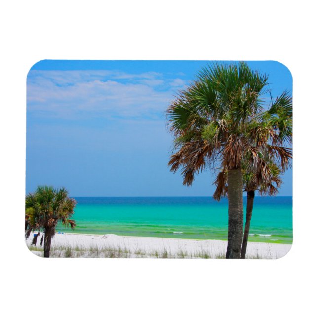 Magnet Flexible États-Unis, Floride. Palmiers Sur La Côte D'Émerau (Horizontal)