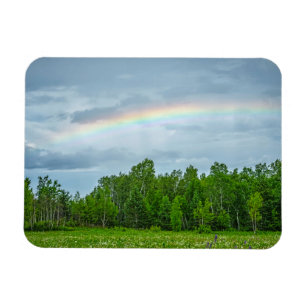 Magnet Flexible États-Unis, Minnesota. Prairie verte avec des fleu