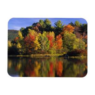 Magnet Flexible États-Unis, New Hampshire, Moultonborough. Arbres