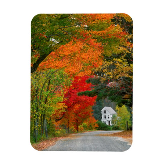 Magnet Flexible États-Unis, Nouvelle-Angleterre, New Hampshire, An (Vertical)