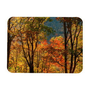 Magnet Flexible États-Unis, Tennessee. Feuillage d'automne