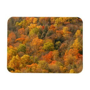 Magnet Flexible États-Unis, Tennessee. Feuillage d'automne 2