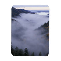 États-Unis, Tennessee. Great Smokey Mountains Nati