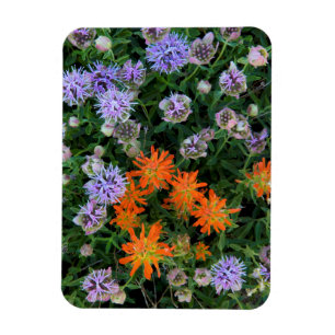 Magnet Flexible États-Unis, Utah, forêt nationale d'Uinta-Wasatch-