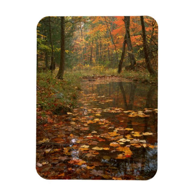 Magnet Flexible États-Unis, Virginie, Automne Dans Douthat State P (Vertical)