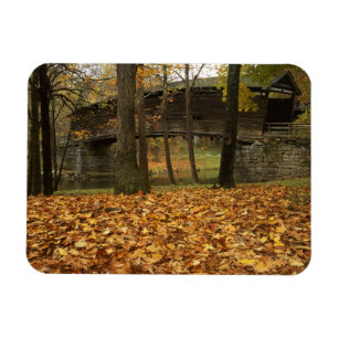 Magnet Flexible États-Unis, Virginie, Covington, Humpback couvert