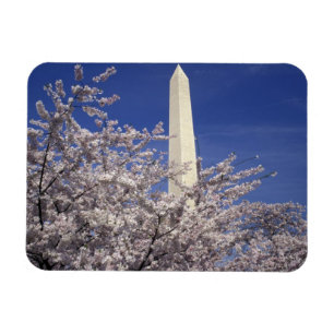 Magnet Flexible États-Unis, Washington DC. Festival Cherry Blossom
